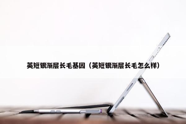 英短银渐层长毛基因（英短银渐层长毛怎么样）