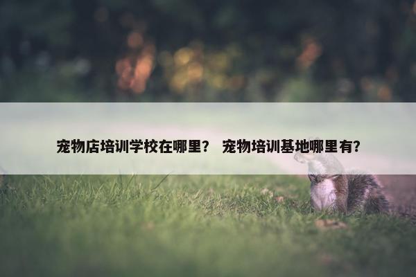 宠物店培训学校在哪里？ 宠物培训基地哪里有？