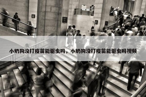 小奶狗没打疫苗能驱虫吗，小奶狗没打疫苗能驱虫吗视频