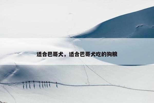 适合巴哥犬，适合巴哥犬吃的狗粮