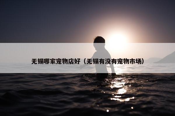 无锡哪家宠物店好（无锡有没有宠物市场）