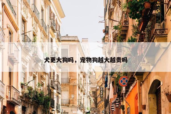 犬更大狗吗，宠物狗越大越贵吗