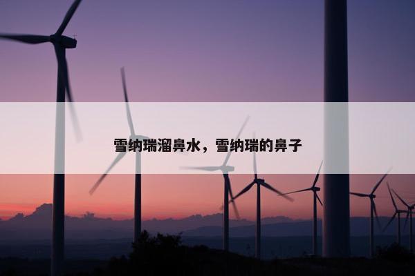 雪纳瑞溜鼻水，雪纳瑞的鼻子