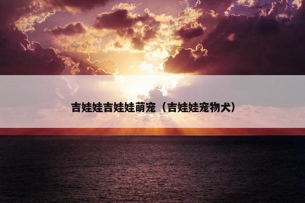 吉娃娃吉娃娃萌宠（吉娃娃宠物犬）