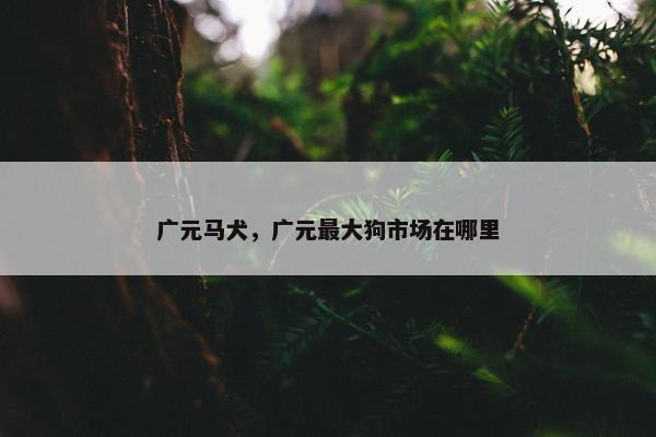 广元马犬，广元最大狗市场在哪里
