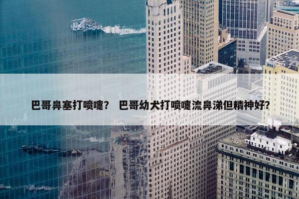 巴哥鼻塞打喷嚏？ 巴哥幼犬打喷嚏流鼻涕但精神好？