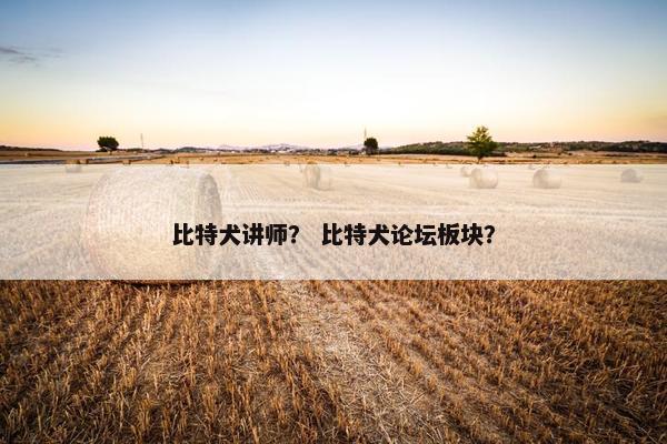 比特犬讲师？ 比特犬论坛板块？