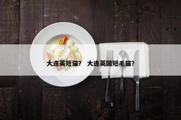大连英短猫？ 大连英国短毛猫？