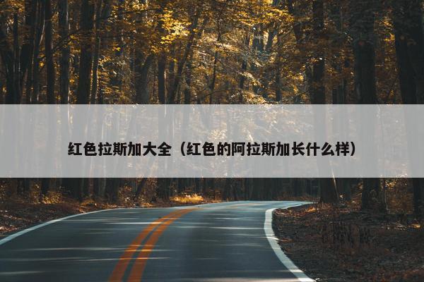 红色拉斯加大全（红色的阿拉斯加长什么样）