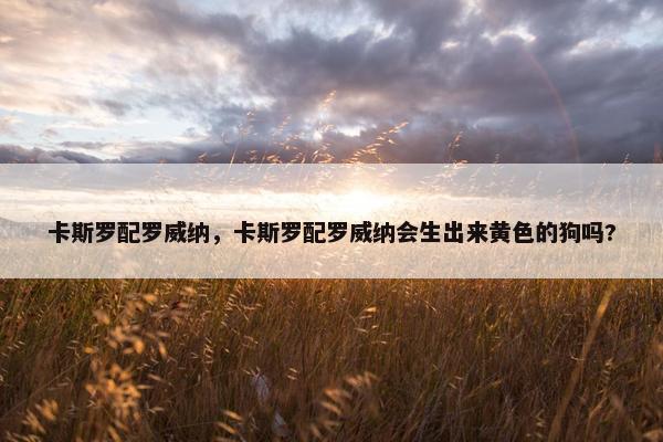 卡斯罗配罗威纳，卡斯罗配罗威纳会生出来黄色的狗吗?