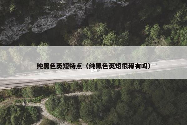 纯黑色英短特点（纯黑色英短很稀有吗）