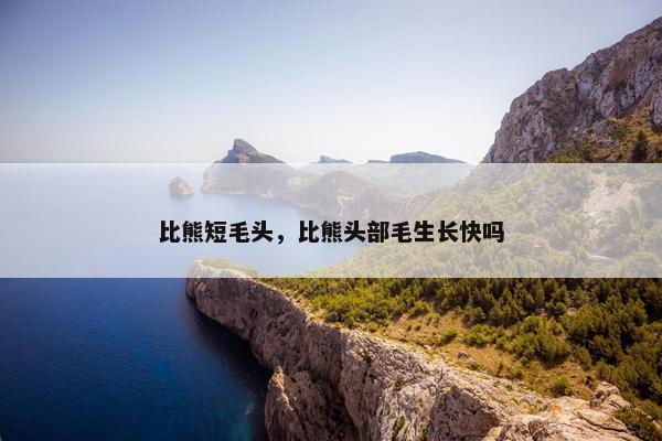 比熊短毛头，比熊头部毛生长快吗