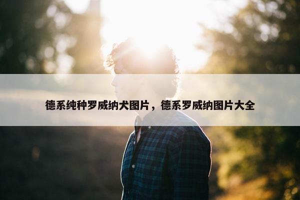 德系纯种罗威纳犬图片，德系罗威纳图片大全