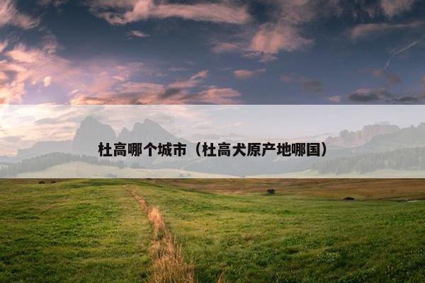 杜高哪个城市（杜高犬原产地哪国）