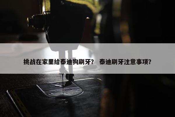 挑战在家里给泰迪狗刷牙？ 泰迪刷牙注意事项？