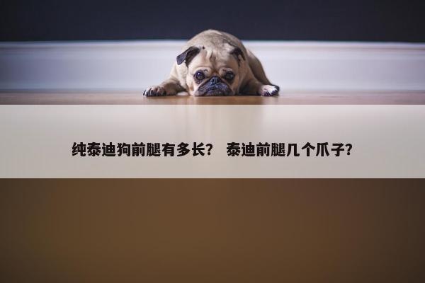 纯泰迪狗前腿有多长？ 泰迪前腿几个爪子？