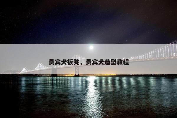 贵宾犬板凳，贵宾犬造型教程