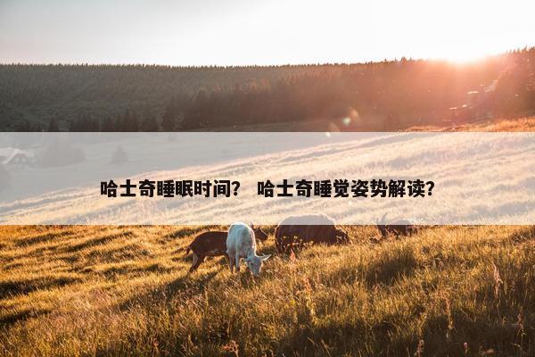 哈士奇睡眠时间？ 哈士奇睡觉姿势解读？