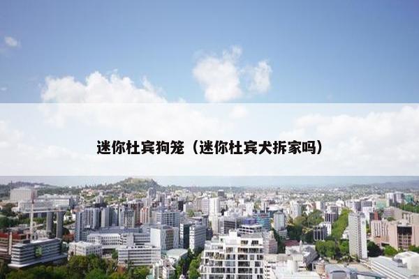 迷你杜宾狗笼（迷你杜宾犬拆家吗）