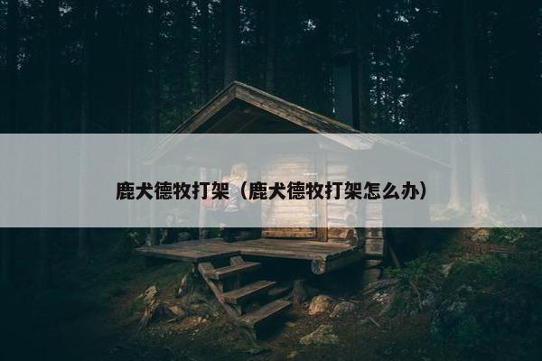 鹿犬德牧打架（鹿犬德牧打架怎么办）