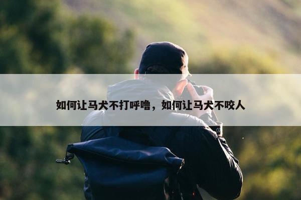 如何让马犬不打呼噜，如何让马犬不咬人