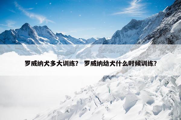 罗威纳犬多大训练？ 罗威纳幼犬什么时候训练？