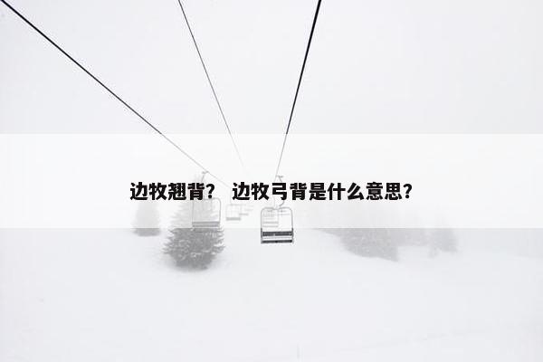 边牧翘背？ 边牧弓背是什么意思？