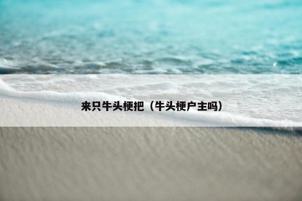 来只牛头梗把（牛头梗户主吗）