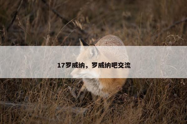 17罗威纳，罗威纳吧交流