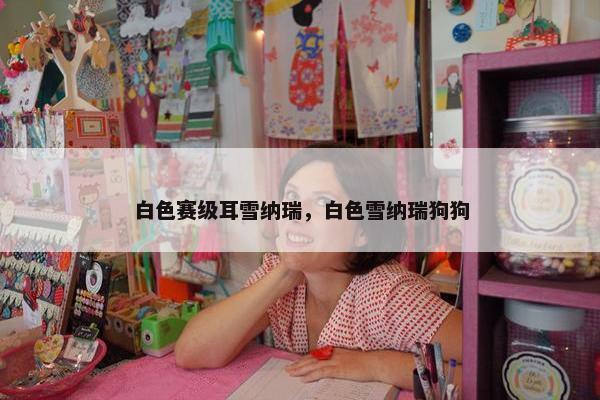 白色赛级耳雪纳瑞，白色雪纳瑞狗狗