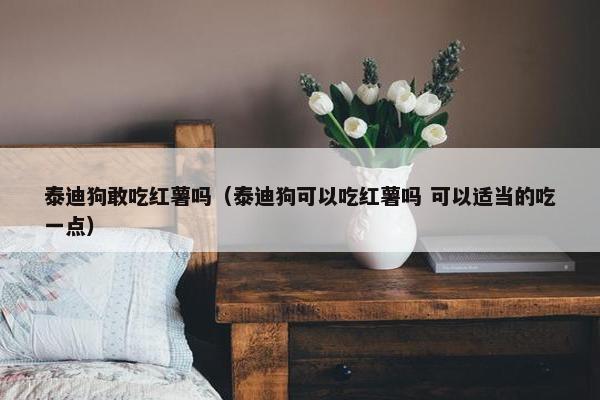泰迪狗敢吃红薯吗（泰迪狗可以吃红薯吗 可以适当的吃一点）