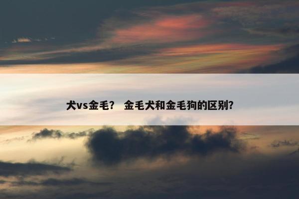 犬vs金毛？ 金毛犬和金毛狗的区别？