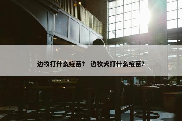 边牧打什么疫苗？ 边牧犬打什么疫苗？
