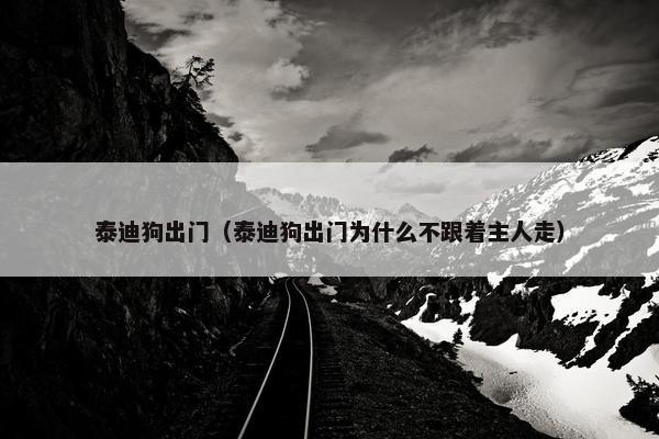 泰迪狗出门（泰迪狗出门为什么不跟着主人走）