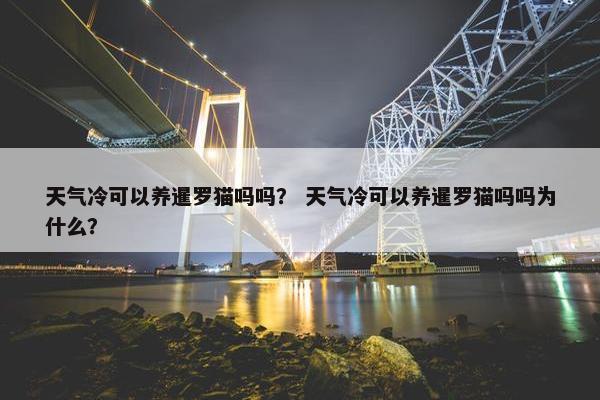 天气冷可以养暹罗猫吗吗？ 天气冷可以养暹罗猫吗吗为什么？