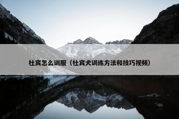 杜宾怎么训服（杜宾犬训练方法和技巧视频）