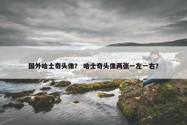 国外哈士奇头像？ 哈士奇头像两张一左一右？