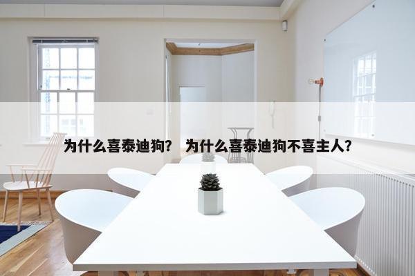 为什么喜泰迪狗？ 为什么喜泰迪狗不喜主人？