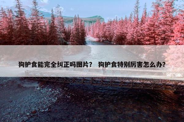 狗护食能完全纠正吗图片？ 狗护食特别厉害怎么办？