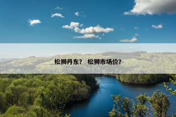 松狮丹东？ 松狮市场价？