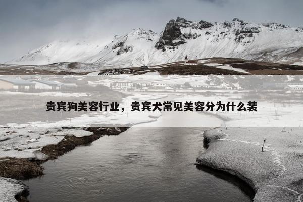 贵宾狗美容行业，贵宾犬常见美容分为什么装