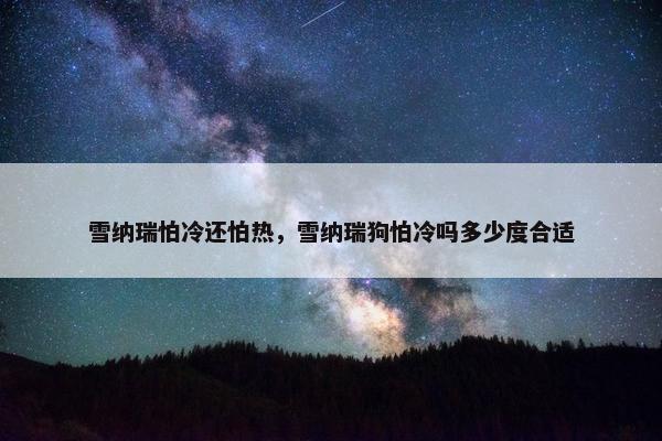 雪纳瑞怕冷还怕热，雪纳瑞狗怕冷吗多少度合适