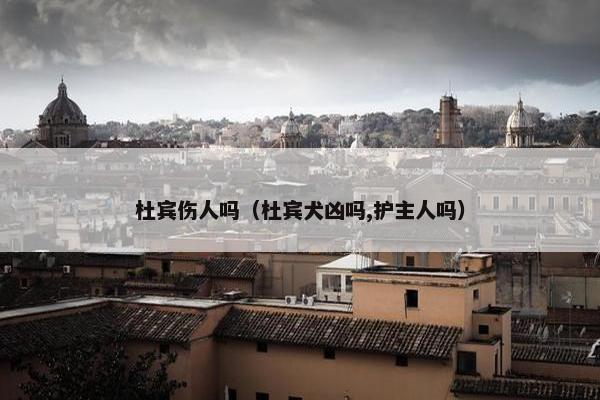 杜宾伤人吗（杜宾犬凶吗,护主人吗）
