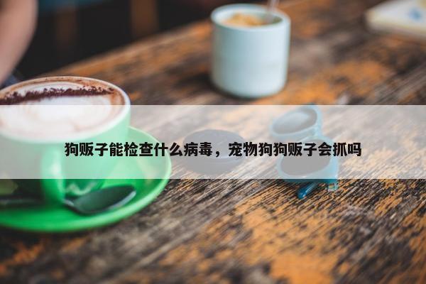 狗贩子能检查什么病毒，宠物狗狗贩子会抓吗