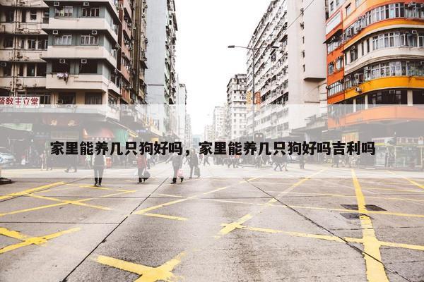 家里能养几只狗好吗，家里能养几只狗好吗吉利吗