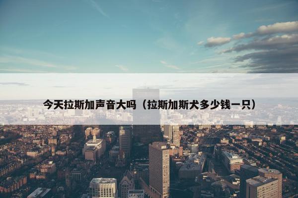今天拉斯加声音大吗（拉斯加斯犬多少钱一只）