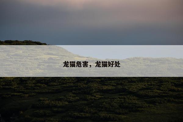 龙猫危害，龙猫好处