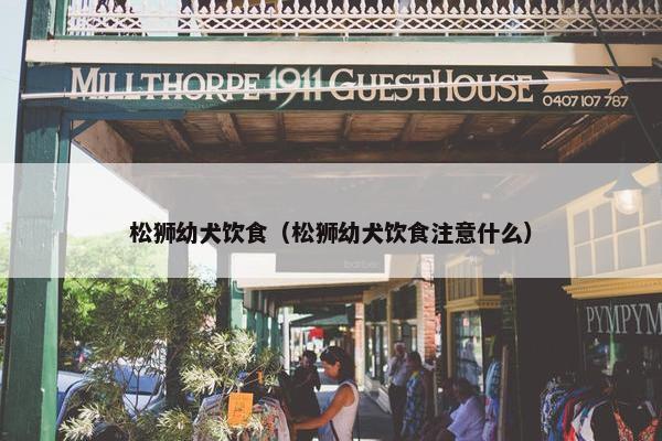 松狮幼犬饮食（松狮幼犬饮食注意什么）