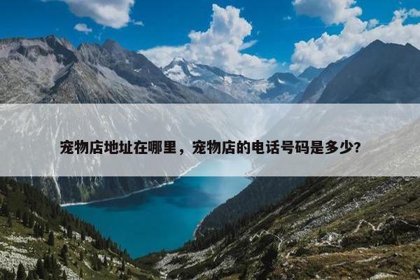宠物店地址在哪里，宠物店的电话号码是多少?