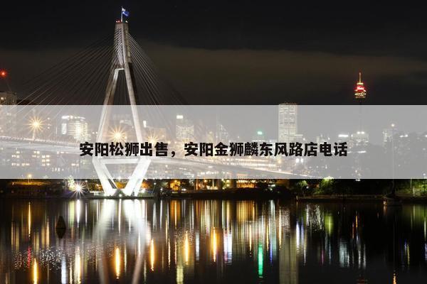 安阳松狮出售，安阳金狮麟东风路店电话
